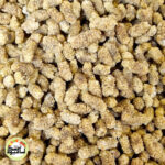 توت سفید - تصویر 3