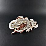 میوه خشک - نارگیل خلالی خشک ۵ کیلویی - Image 2